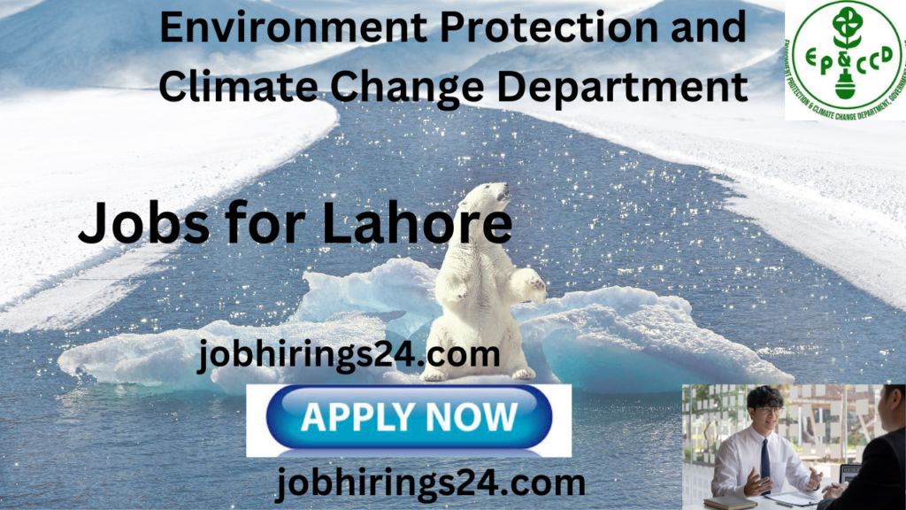 Jobs for Lahore