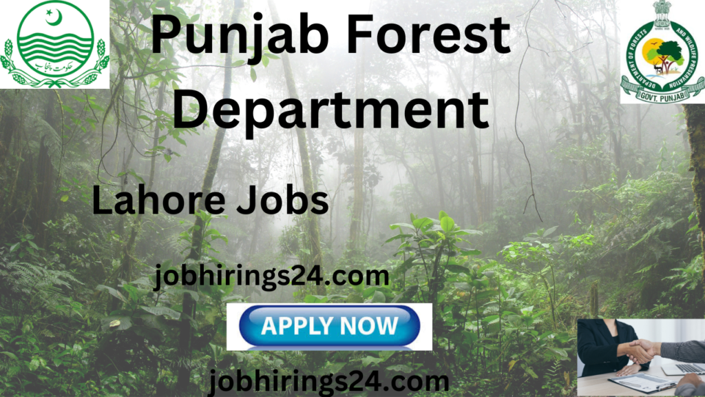 Lahore Jobs